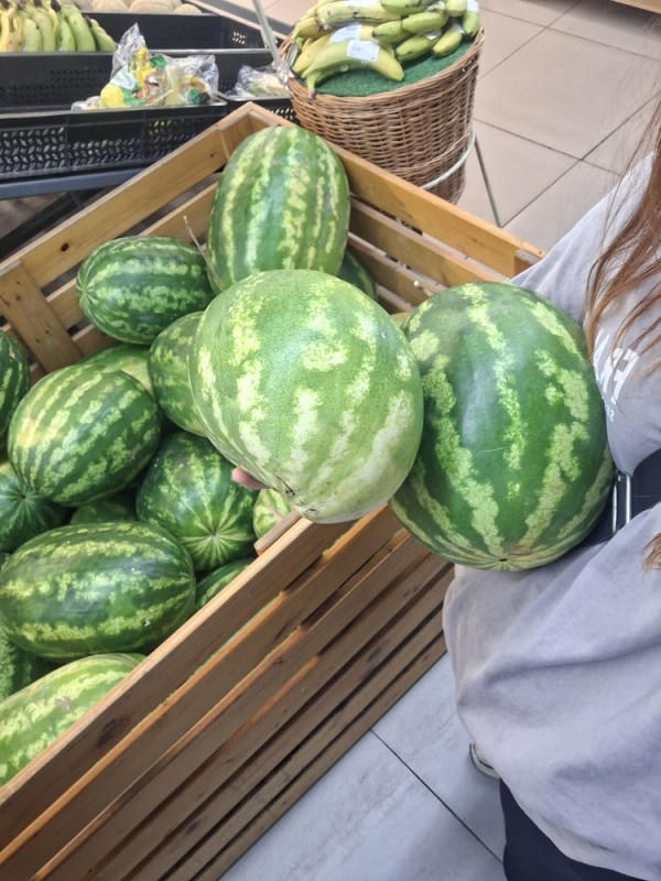 Create meme: watermelon , watermelon variety, Astrakhan watermelon