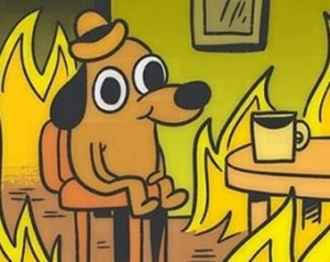 Create meme: yellow dog meme, a diploma, dog in the burning house meme