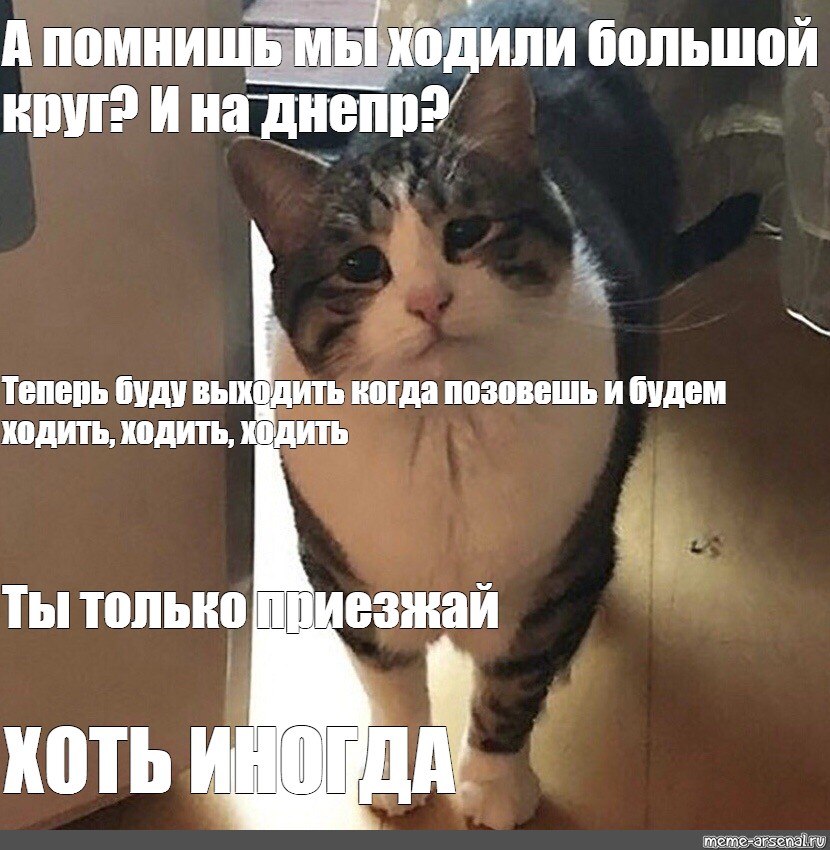 Ходить ходил хожу буду ходить