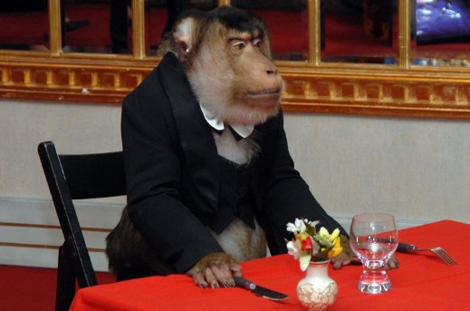 Create meme: monkey at the table, monkey , monkey in the restaurant