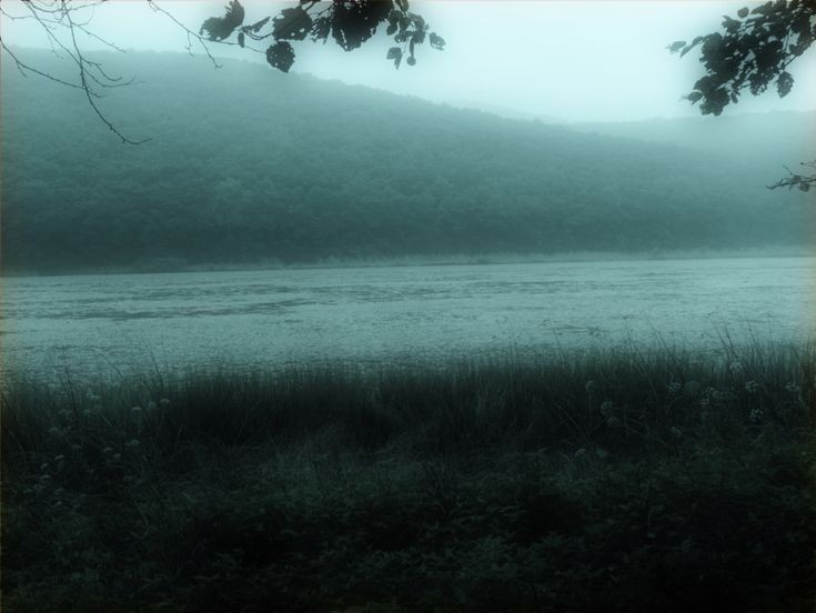 Create meme: mist over the lake, fog on the water, forest lake fog