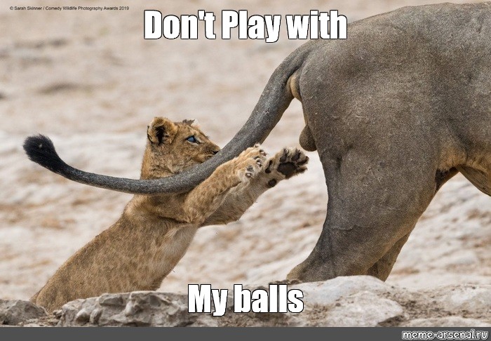 playing with your balls meme