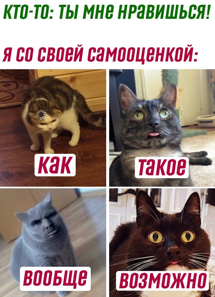 Создать мем 