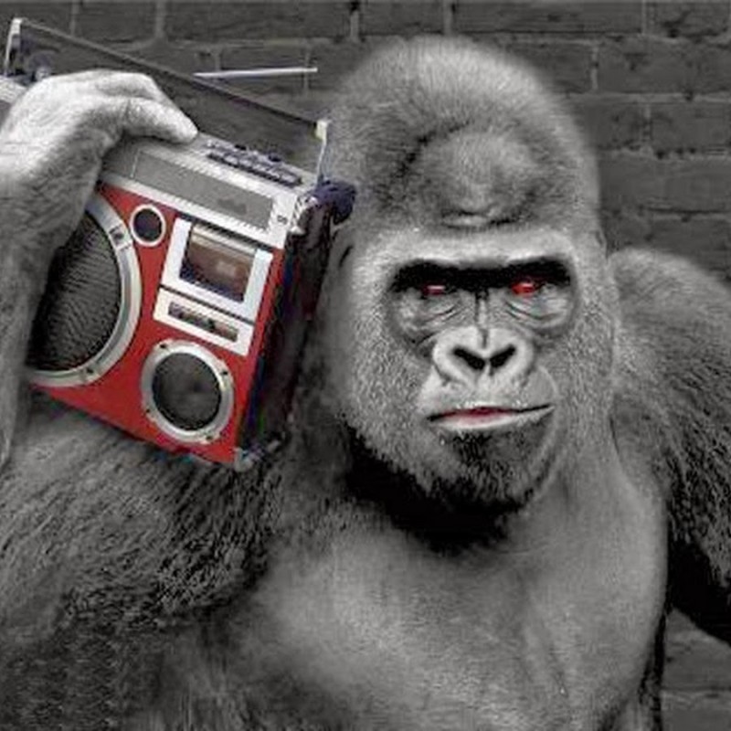 Create meme: gorillas, The gorilla is cool, gorilla wearing headphones