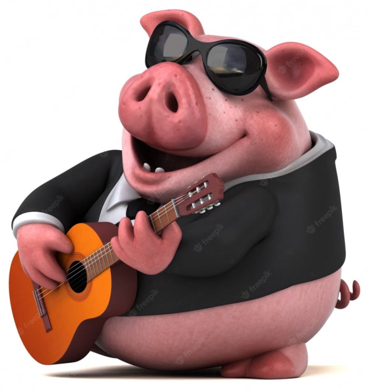 Создать мем: свинья миллионер, веселая свинья, свинья музыкант