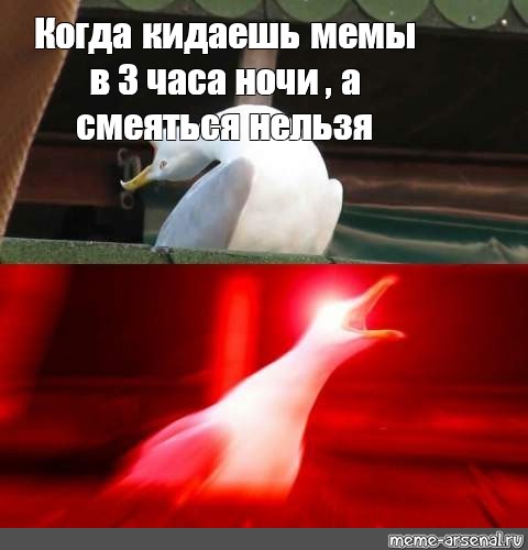 Коммент шоу нельзя смеяться