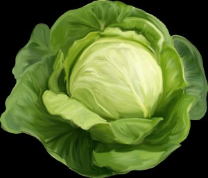 Create meme: cabbage, cabbage