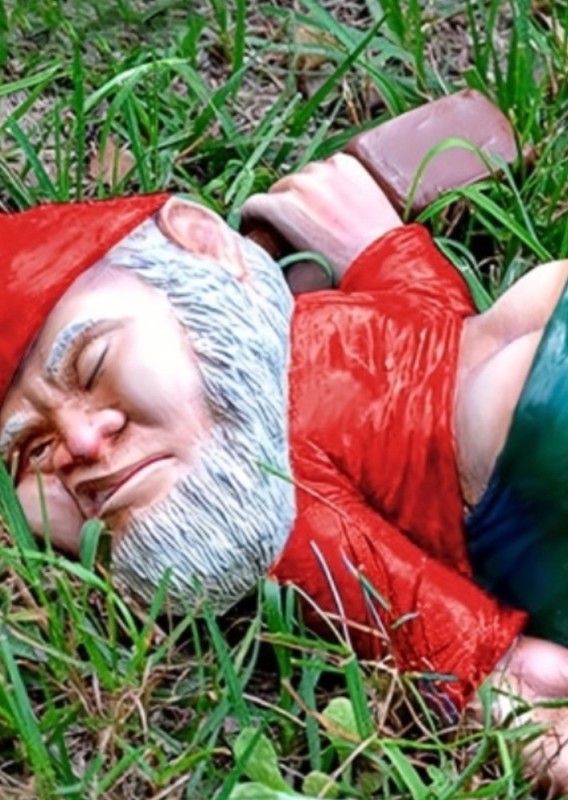 Create meme: drunk dwarf, drunk garden gnome, garden gnome