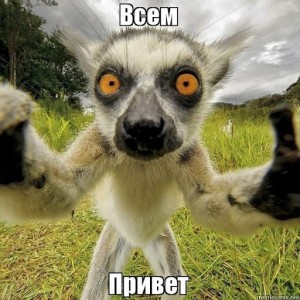 Create meme: lemur Madagascar uzbagoysya, lemur meme, lemur