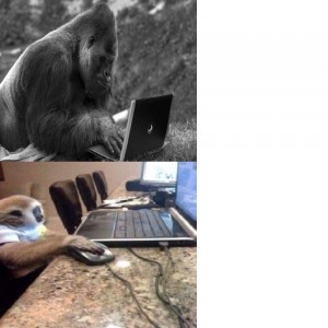 Create meme: monkey for PC, a monkey with a computer, the male gorilla