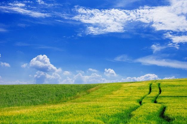 Create meme: landscape with sky, Nature sky, grass and sky