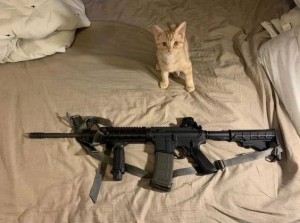 Create meme: cat, Devin Kelly shooter