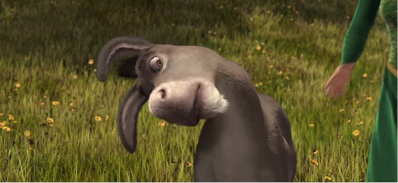 Create meme: donkey Shrek, donkey shrek 2, the jackass of shrek