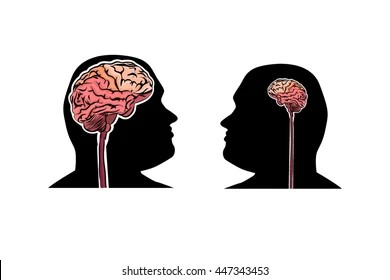 Create meme: brain , the female brain, illustration