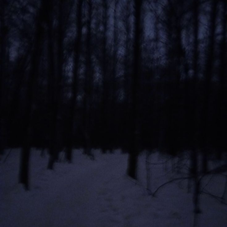 Create meme: dark winter forest, gloomy winter, gloomy winter forest