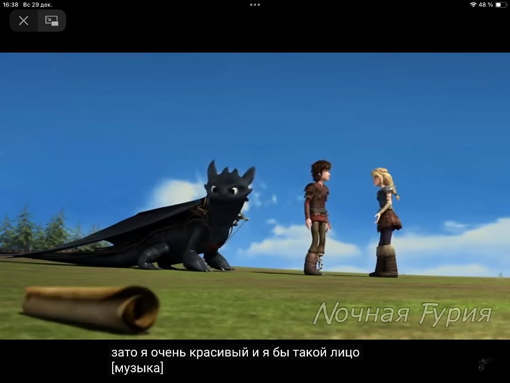 Create meme: Train Your Dragon 2 cartoon, Cartoon Train your Dragon, to train your dragon 3