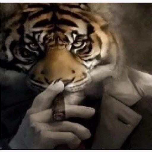 Create meme: tiger , Avatar tiger, The brutal tiger