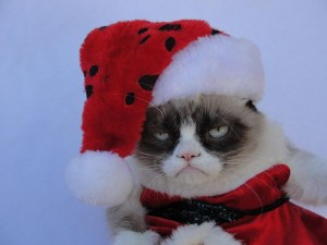 Создать мем: безудержное веселье новый год, с др кароч, недовольный кот в новогодней шапке