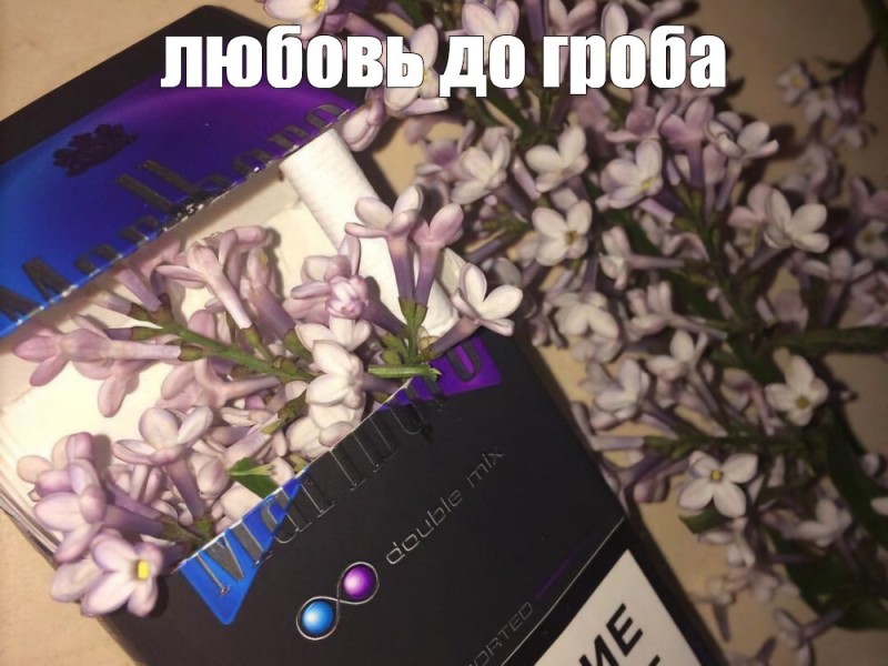 Create meme: marlboro cigarettes with 2 buttons, marlboro cigarettes with purple button, cigarettes with a purple button