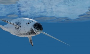 Create meme: amazing animals, narwhal