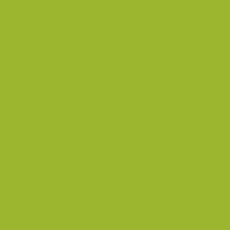 Create meme: lime green, chipboard green, light green