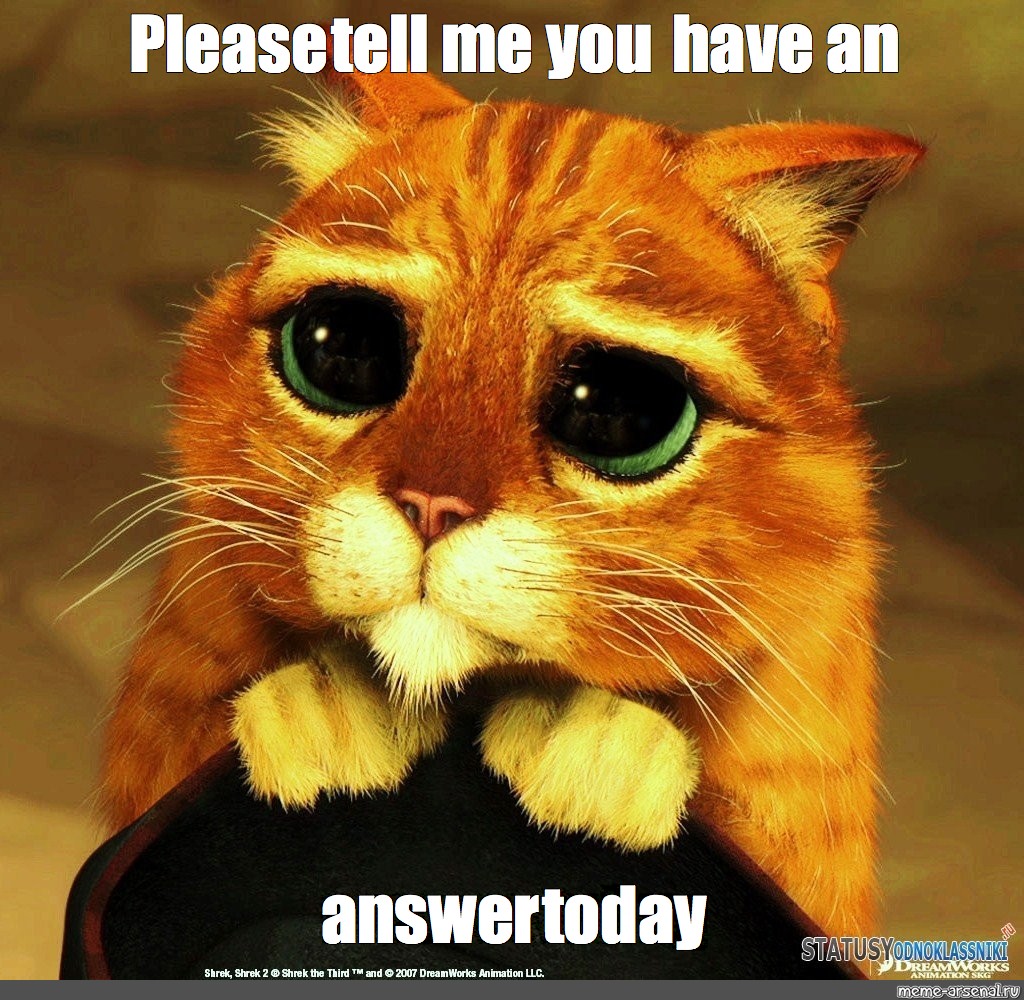 Meme: quot Please tell me you have an answer today quot All Templates Meme