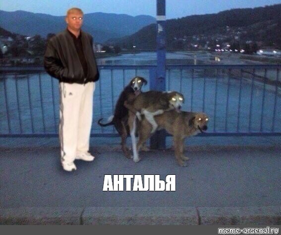 Создать мем: null