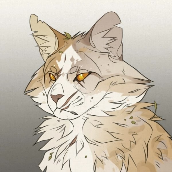 Create meme: warrior cats, cats warriors kopusha, picrew warrior cats