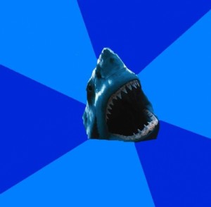 Create meme: shark, shark, fyeahswimshark