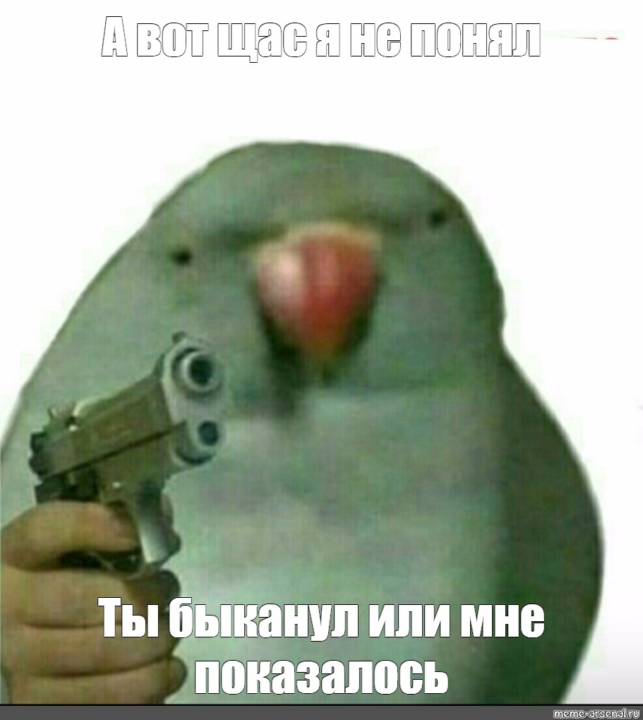 Смешные попугаи