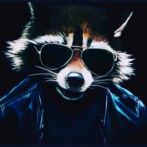 Create meme: raccoon glasses, raccoon art, cool avatars