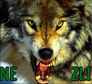 Create meme: wolfish grin, wolf, the wolf grin