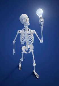 Создать мем: анатомический скелет человека, скелет человека, скелет человека анатомия майерс