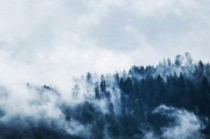 Create meme: mountain forest in fog, fog, background with a forest in the fog
