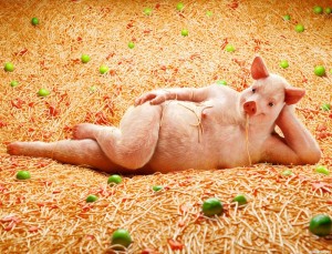 Создать мем: смешные свиньи, жирная свинья сладкий медвежонок, свинья и поросенок