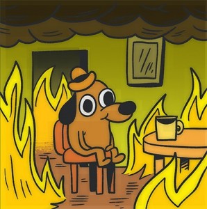 Create meme: burning house, this is not fine, this is fine dog