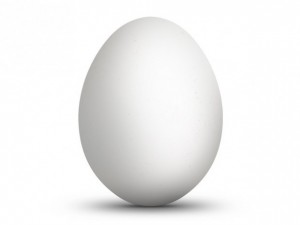 Create meme: egg on white background