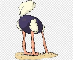 Create meme: ostrich, the ostrich head in the sand