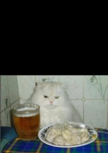 Создать мем: коты, кот пельмень, кот с пивом