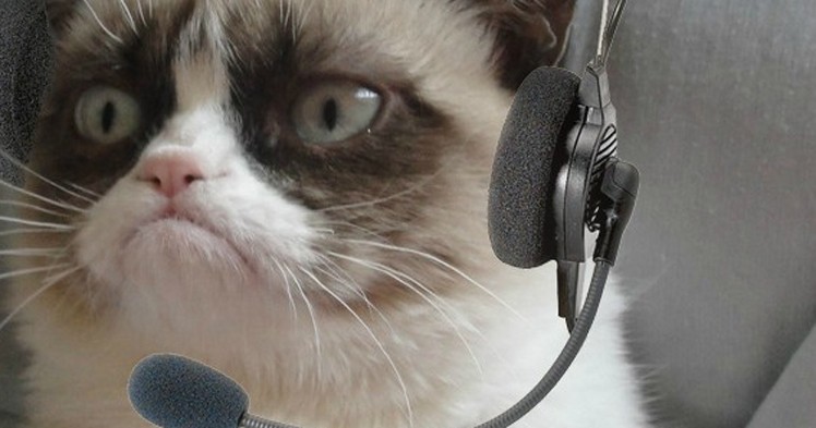 Create meme: headphones cat, cat in headphones meme, a cat wearing headphones meme