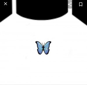 Create meme: butterfly