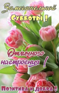 Create meme: beautiful flowers, beautiful day cards, flowers