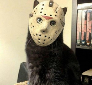 Создать мем: Джейсон Вурхиз, jason voorhees mask, кот джейсон