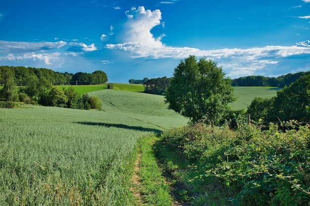 Create meme: nature , native spaces, meadow 