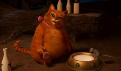 Create meme: Shrek cat, puss in boots shrek 4, cat from the movie Shrek