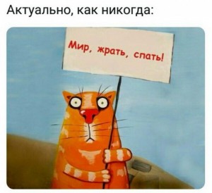 Create meme: picture Vasey Lozhkina, Vasya Lozhkin
