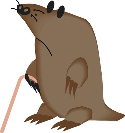 Create meme: beaver on a white background, blind cat cartoon, beavers cartoon