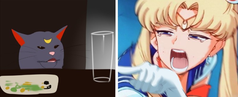 Create meme: sailor moon meme, sailor moon challenge redraw, sailor Moon challenge redraw