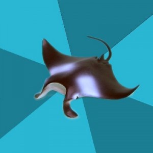 Создать мем: manta, manta ray, Multiple Manta