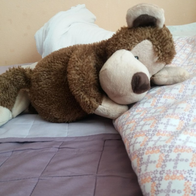 Create meme: plush toy, bear is a soft toy, teddy bear on the bed